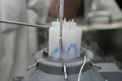 Près de 200 enfants conçus avec un donneur danois porteur d'un risque de cancer