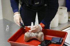 La cocaïne, premier marché des drogues illicites en valeur, devant le cannabis, selon une étude