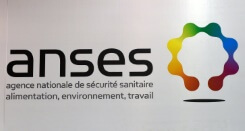 Encéphalite à tiques: les cas risquent d'augmenter en France