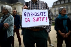 Prolongation du glyphosate: la justice européenne donne raison aux ONG sur une 'erreur de droit' de Bruxelles