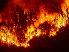 Les feux de forêt détériorent la qualité de l'air à des milliers de kilomètres, selon l'ONU 