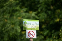 Plages, parcs, abords d'école... la cigarette interdite à compter du 1er juillet