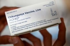 A La Réunion, inquiétude et défiance après un décès lié au vaccin contre le chikungunya
